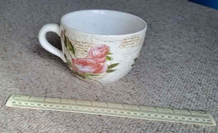 Photo of free Indoor planter (Moggerhanger MK44) #1