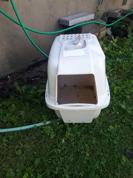 Photo of free Cat litter (Gatineau J8X2Z4) #1