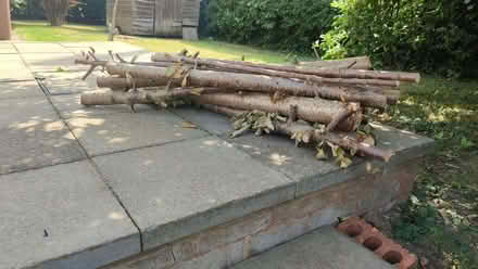 Photo of free Wood cut from tree suitable as firewood. (Irlam M44) #1