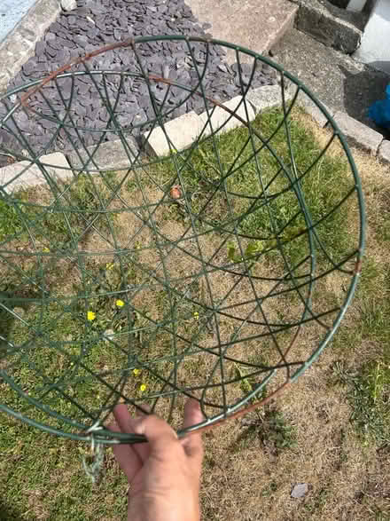 Photo of free Basgedi crog/ hanging baskets (Tregarth LL57) #4