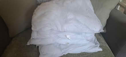 Photo of free 50x50 cushion inserts (Fallin FK7) #2