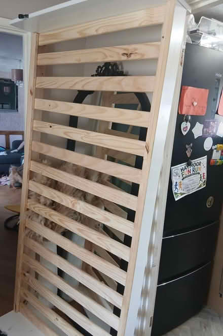 Photo of free Single bed (Canford Heath, BH17 8) #1
