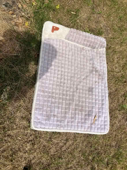 Photo of free Dogs bed (Penzance TR18) #2