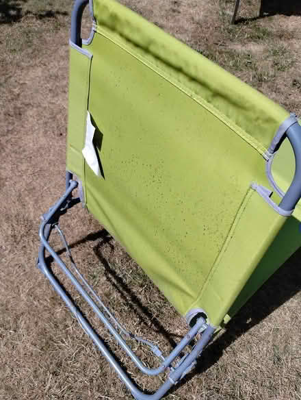 Photo of free Sun Lounger (Chester le Street DH2) #1