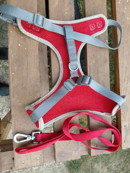 Photo of free Harness and lead (Knightsfield Welwyn Garden AL8) #1