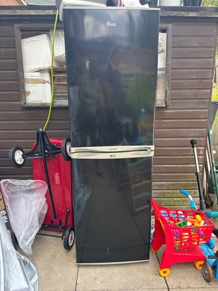 Photo of free Black swan fridge (Brixton SW9) #1