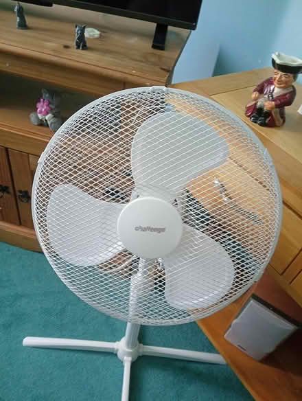 Photo of free Fan (Ta219ep) #1