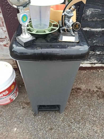 Photo of free random (M145hz) #2