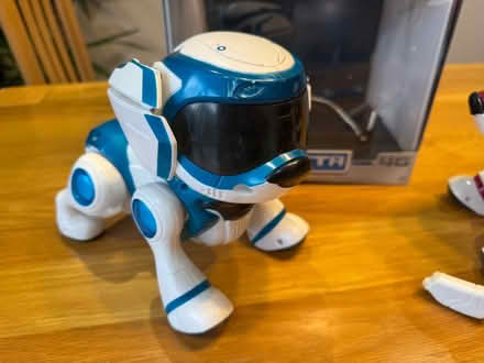 Photo of free Old Teksta puppies (Town Parks BT15) #3