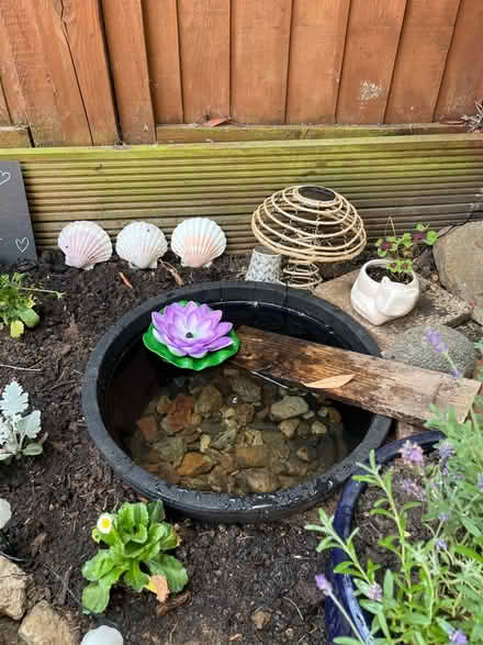 Photo of Pond plants spare (Collect near Marsh Park OX4) #1