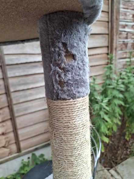 Photo of free Grey Multi-Level Cat Tree (Manchester M12) #4