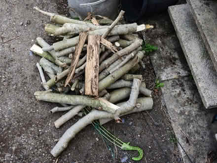 Photo of free Cut Wood for Wood Burner (Hollingthorpe WF4) #1