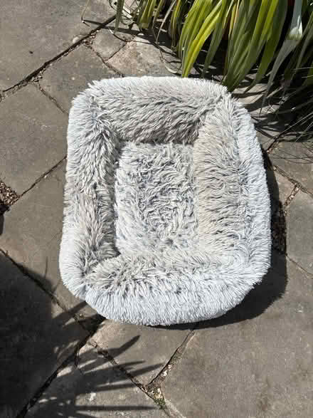 Photo of free Dog bed (BH23 1HX) #1