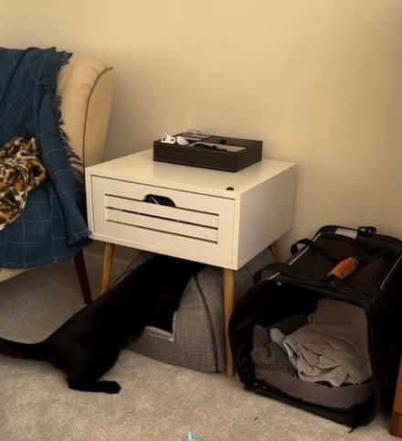 Photo of free Bedside table (South Tonbridge TN9) #1