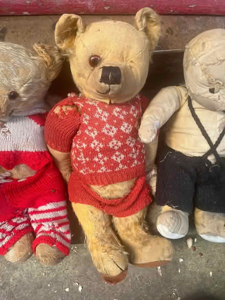 Photo of free Old tatty teddy bears for restoration (Lancing BN15) #3
