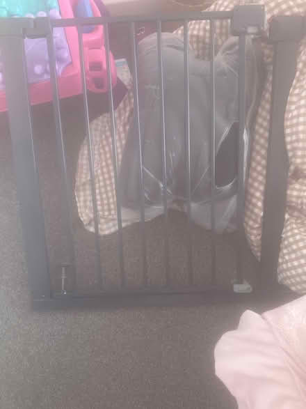 Photo of free Baby gate (Colchester Essex) #1