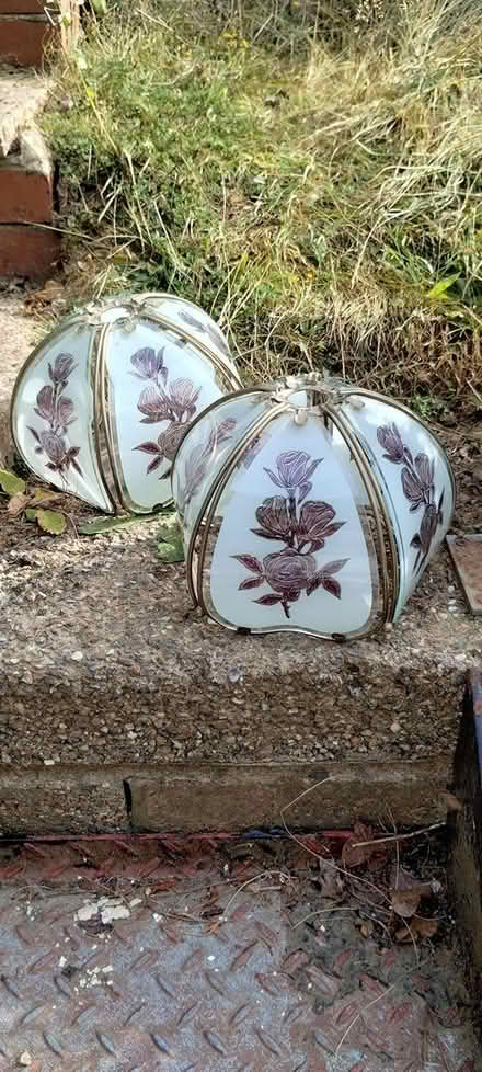 Photo of free 2 glass lampshades (St Leonards) #1