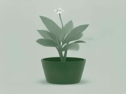 Photo of free Bag of flower pots (Quinton B32) #1