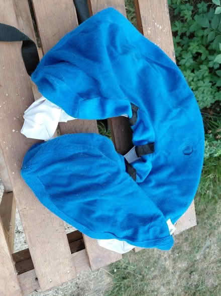 Photo of free Dog Collar (Knightsfield Welwyn Garden AL8) #1