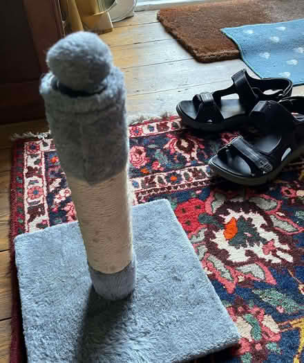 Photo of free Cat scratch post (Kennington SW8) #2