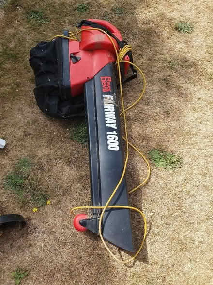 Photo of free Leaf blower (Hungerford RG17) #1