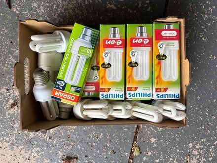 Photo of free Light Bulbs (Penrith CA11) #1