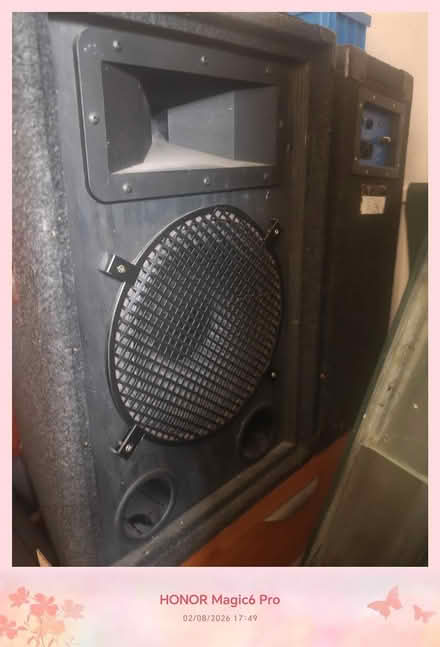Photo of free 2 x seekers (LE8 Blaby Leicester) #1