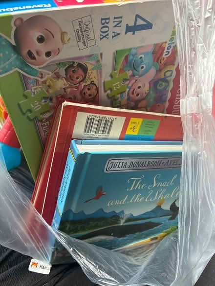 Photo of free toys and books (Vauxhall) #4