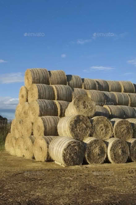 Photo of free haystacks (Wareham BH20) #2