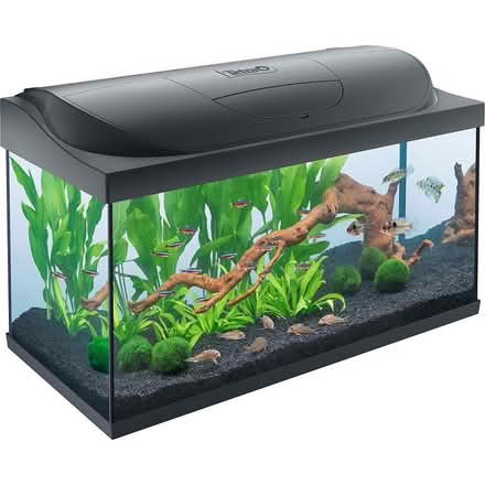 Photo of Rectangular Fish tank (Rushenden ME11) #2