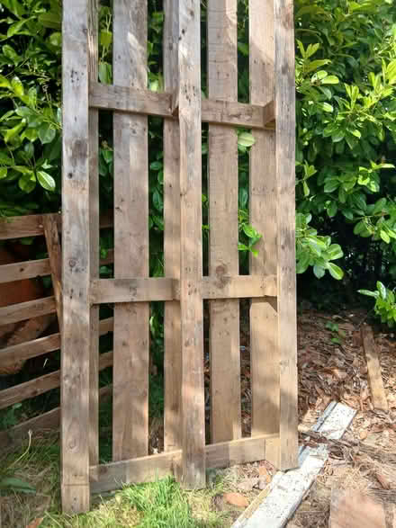 Photo of free Enormous pallet (Tile Hill CV4) #1