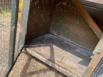 Photo of free Large Rabbit Hutch (Bradwell NR31) #4