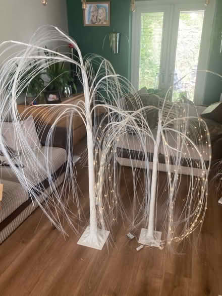 Photo of free LED light up trees (Tyburn B24) #1