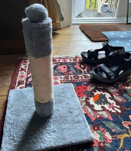Photo of free Cat scratch post (Kennington SW8) #3