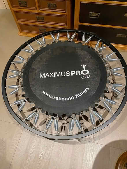 Photo of free Mini Trampoline (Shrewsbury SY1) #2
