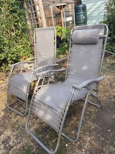 Photo of free Garden chairs (Holyport SL6) #1
