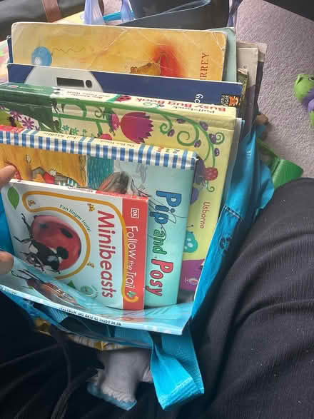 Photo of free Lot: Toys, books, wellies size 10 (Vauxhall) #4
