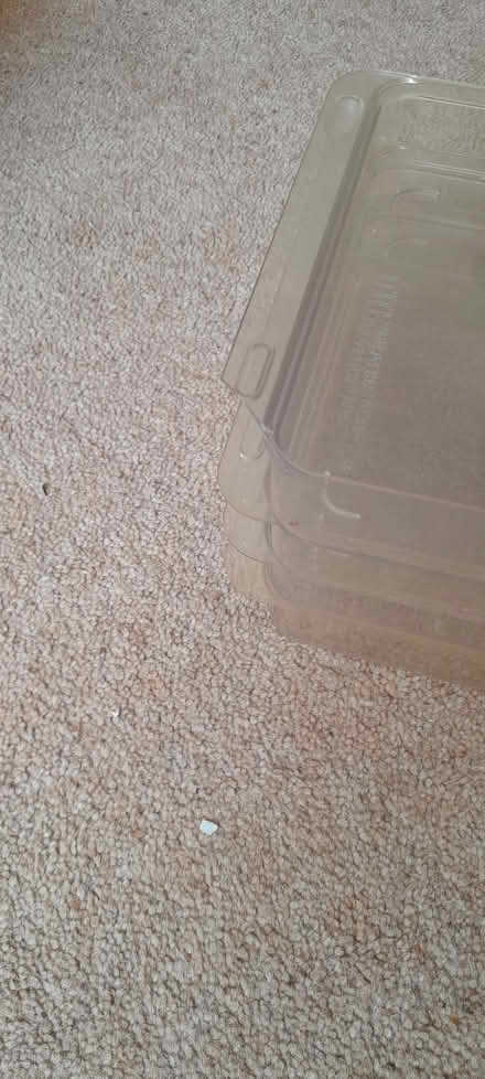 Photo of free Stacking tray set (Thrupp GL5) #2