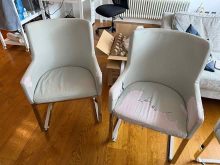 Photo of free Dining chairs (Clerkenwell EC1V) #1