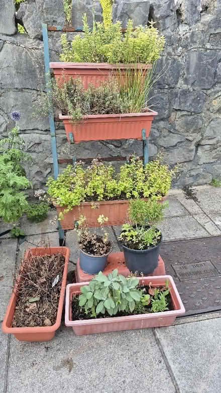 Photo of free Herbs, containers and stand (Worle BS22) #1