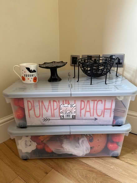 Photo of free Assorted Autumn/Halloween Decor and Serveware & storage bins (Summertown OX2) #1