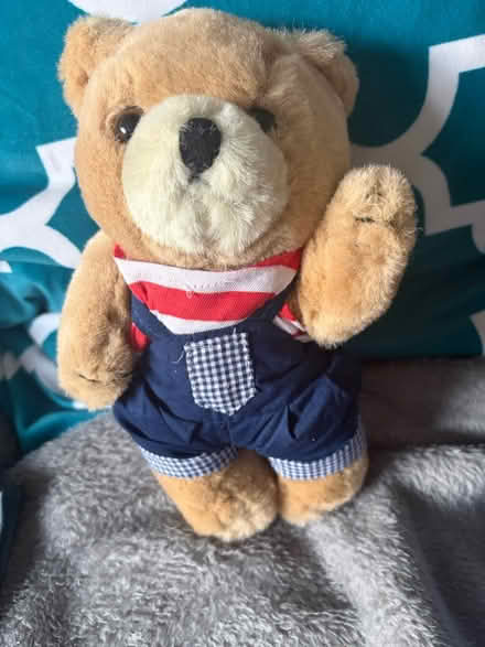 Photo of free Teddy (Westbury Wilts BA13) #1