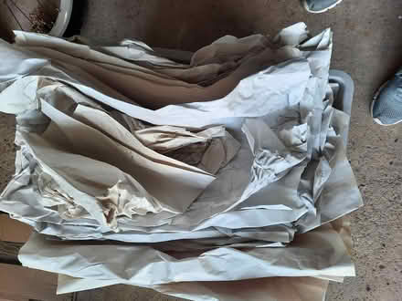 Photo of free Packing paper and bubble wrap (Hinckley LE10) #1
