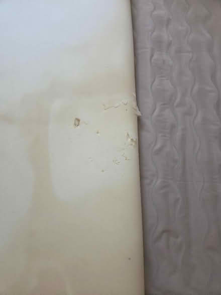 Photo of free Big piece of inch thick foam (North Laine BN1) #3