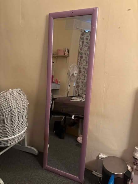 Photo of free Tall mirror (Forest Gate E7) #1