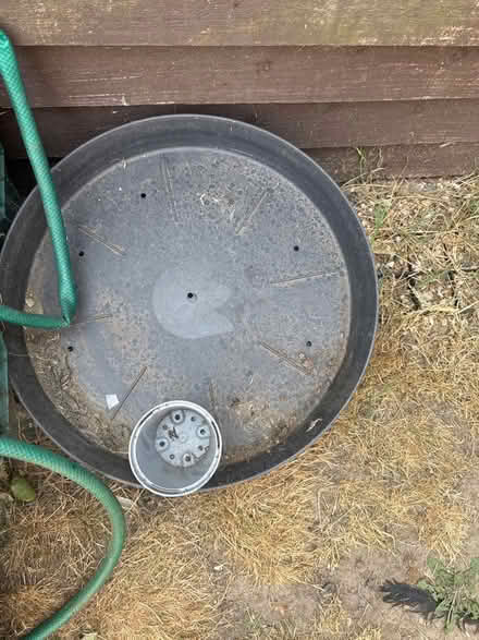 Photo of free Mix of pots (E16 Canning Town) #4