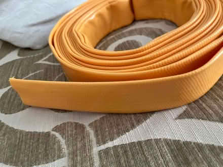Photo of free Lay flat hose (Kennington SW8) #2