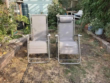Photo of free Garden chairs (Holyport SL6) #2
