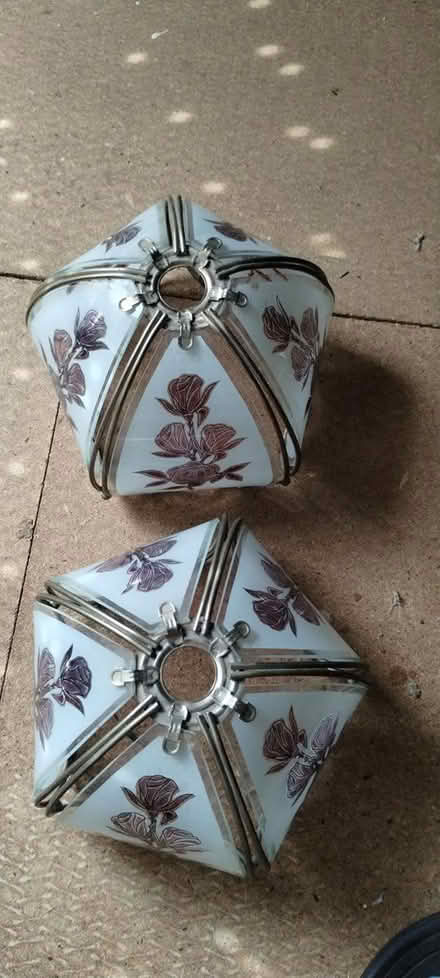 Photo of free 2 glass lampshades (St Leonards) #2