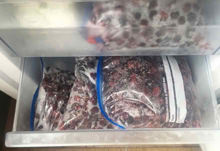 Photo of free Bags of Fresh Organic Blackberries (Liverpool L6) #4